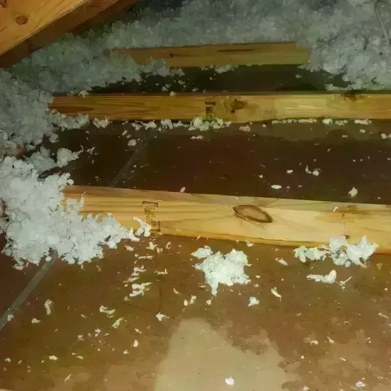 Attic Water Damage in New Shoreham, RI